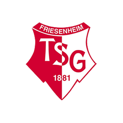 (c) Tsg-friesenheim.de